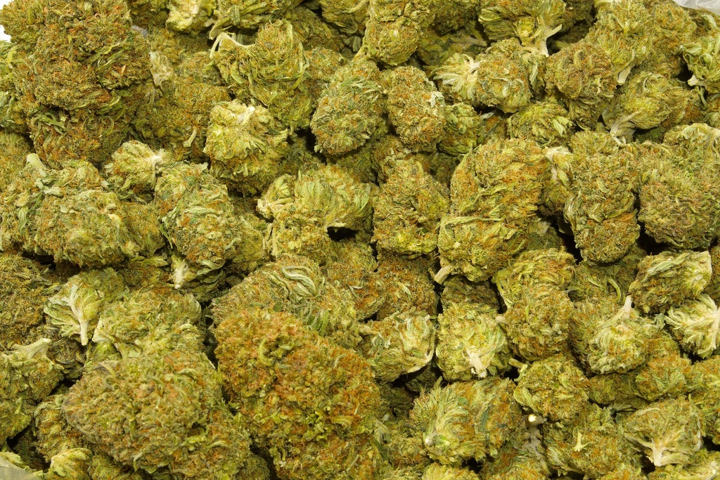 Bubba Kush (CBD) 