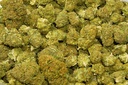 Bubba Kush (CBD) 