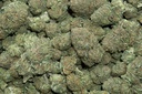 Bubba Kush (CBD) 