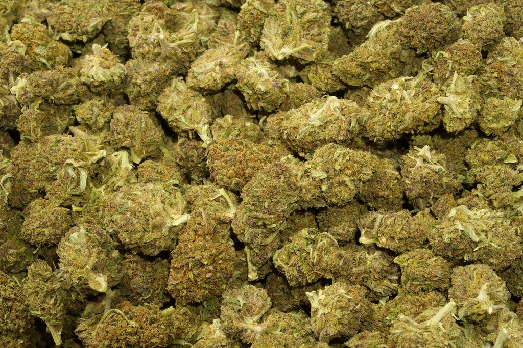 Cookies (CBD)