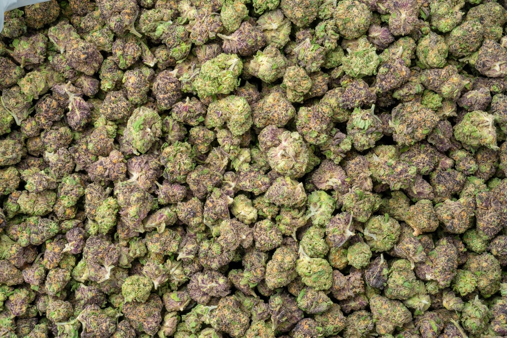 Toxic Punch Indoor Smalls