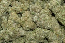 CBG White