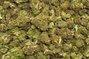 Fruity Pebbles Smalls (CBD)