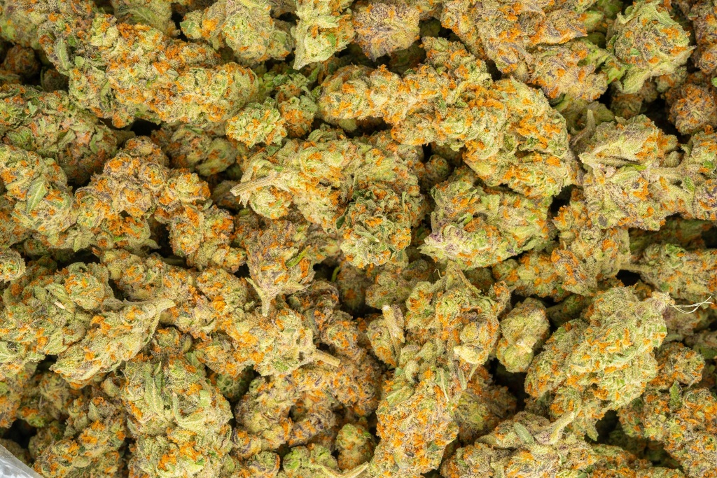 The Sauce Indoor