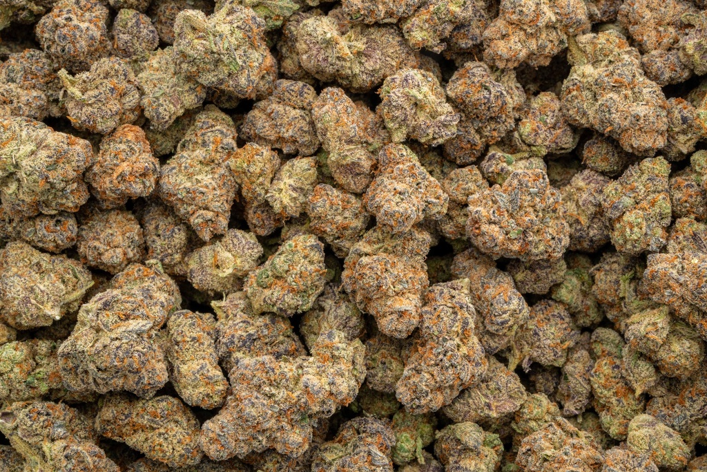 Glitter Bomb Indoor