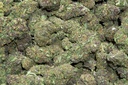 Fruity Pebbles (CBD)