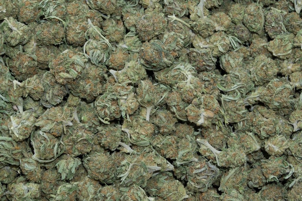 Godfather Smalls (CBD)