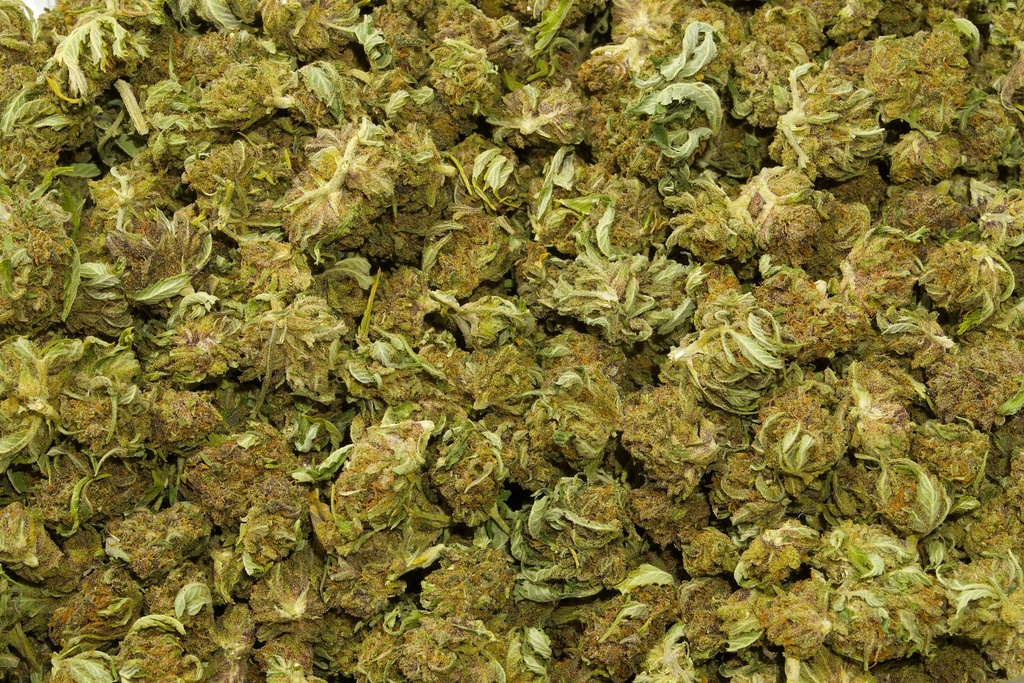 Cookies Smalls (CBD) 