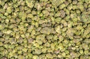 Hooch Indoor Smalls