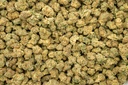 Wedding Cake Indoor Smalls