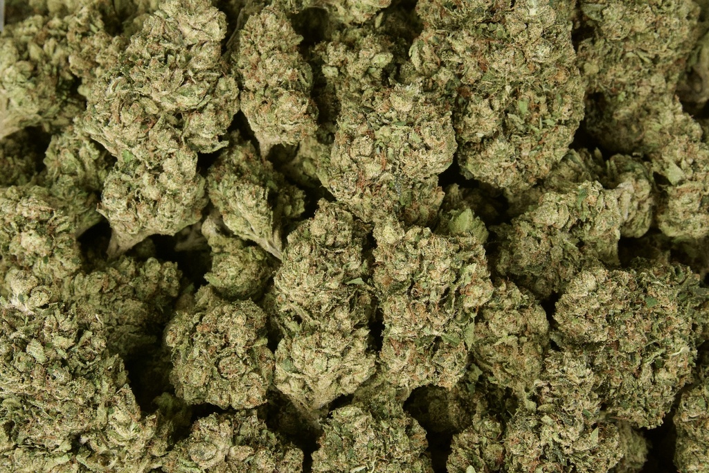 Hollyweed 