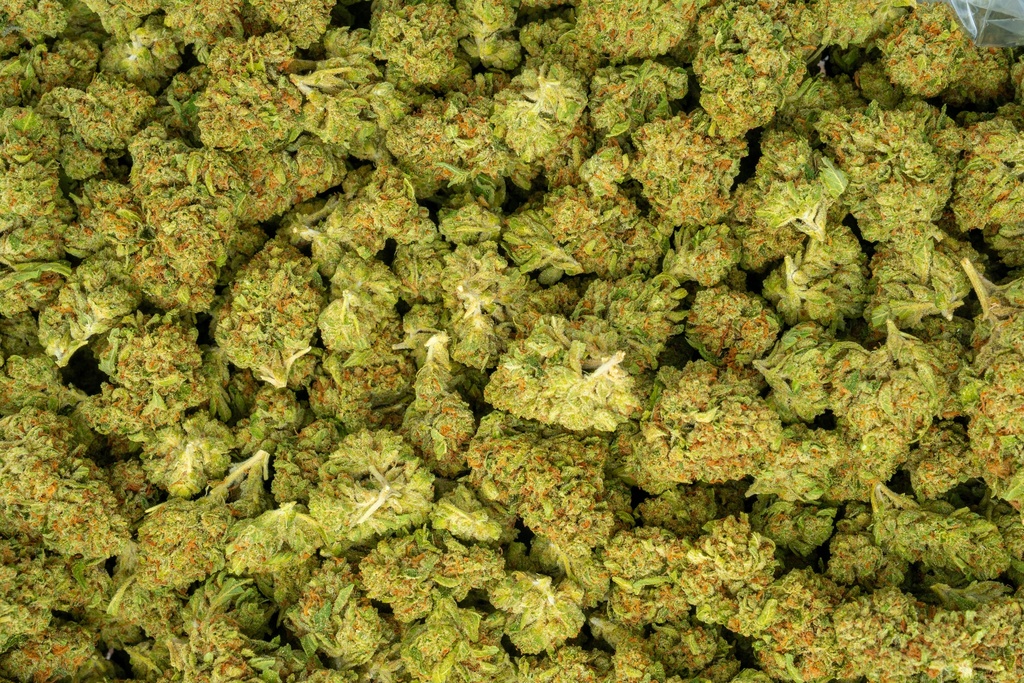 Hollyweed 