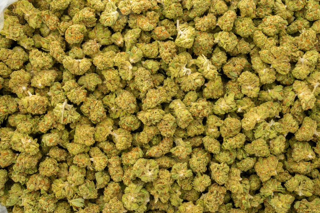 Acai Gelato Smalls