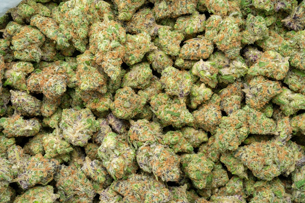 Mendo Breath Indoor