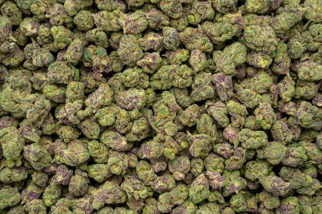 Obama Runtz Indoor Smalls