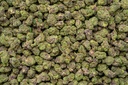 Obama Runtz Indoor Smalls