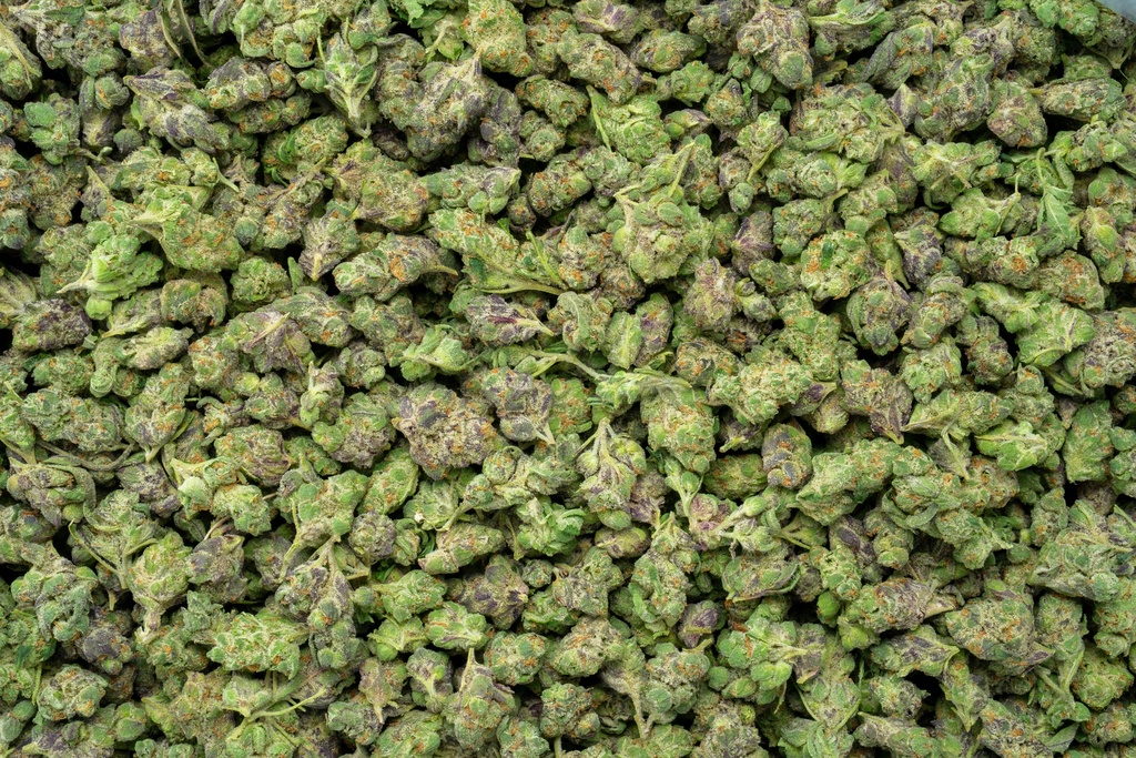 Greasy Runtz Indoor Smalls