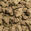Demon King Indoor