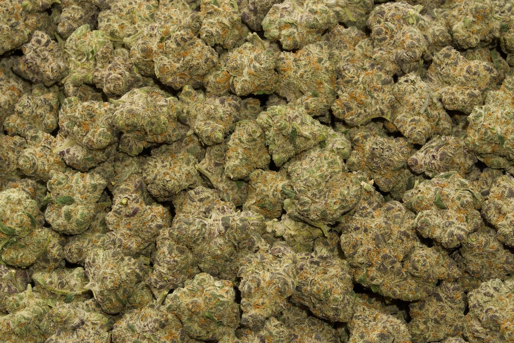 Grape Lemon Cherry Indoor