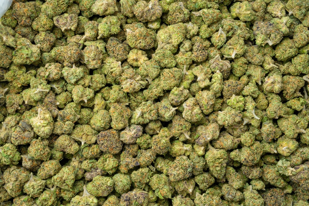 Black Runtz Indoor Smalls