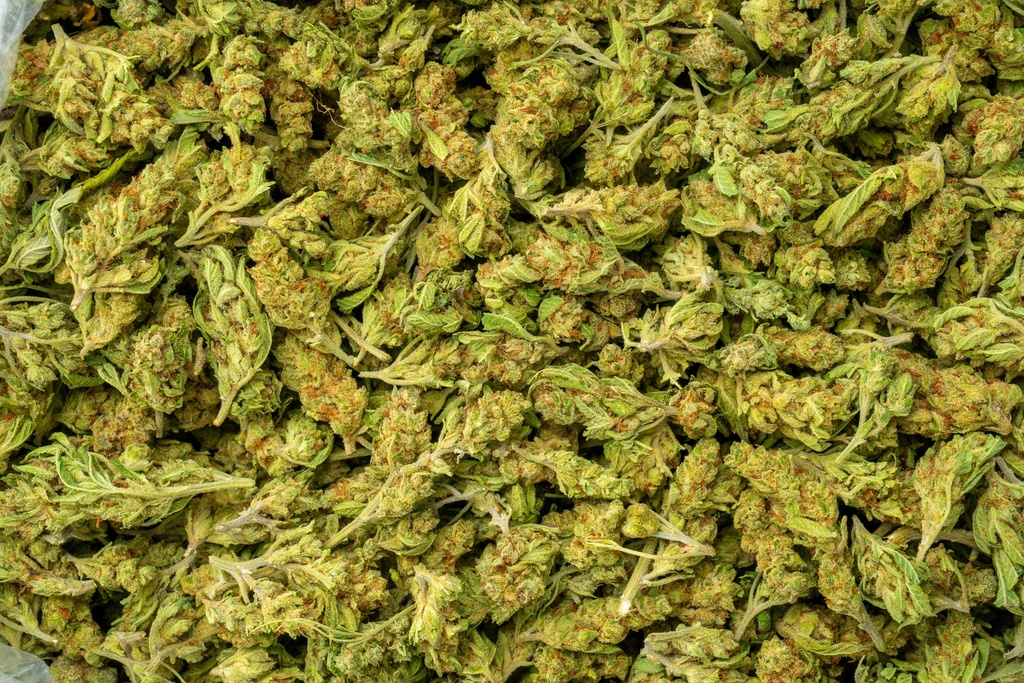 Mango Afghani Smalls