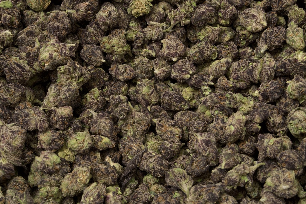 Lemon Slam Indoor Smalls