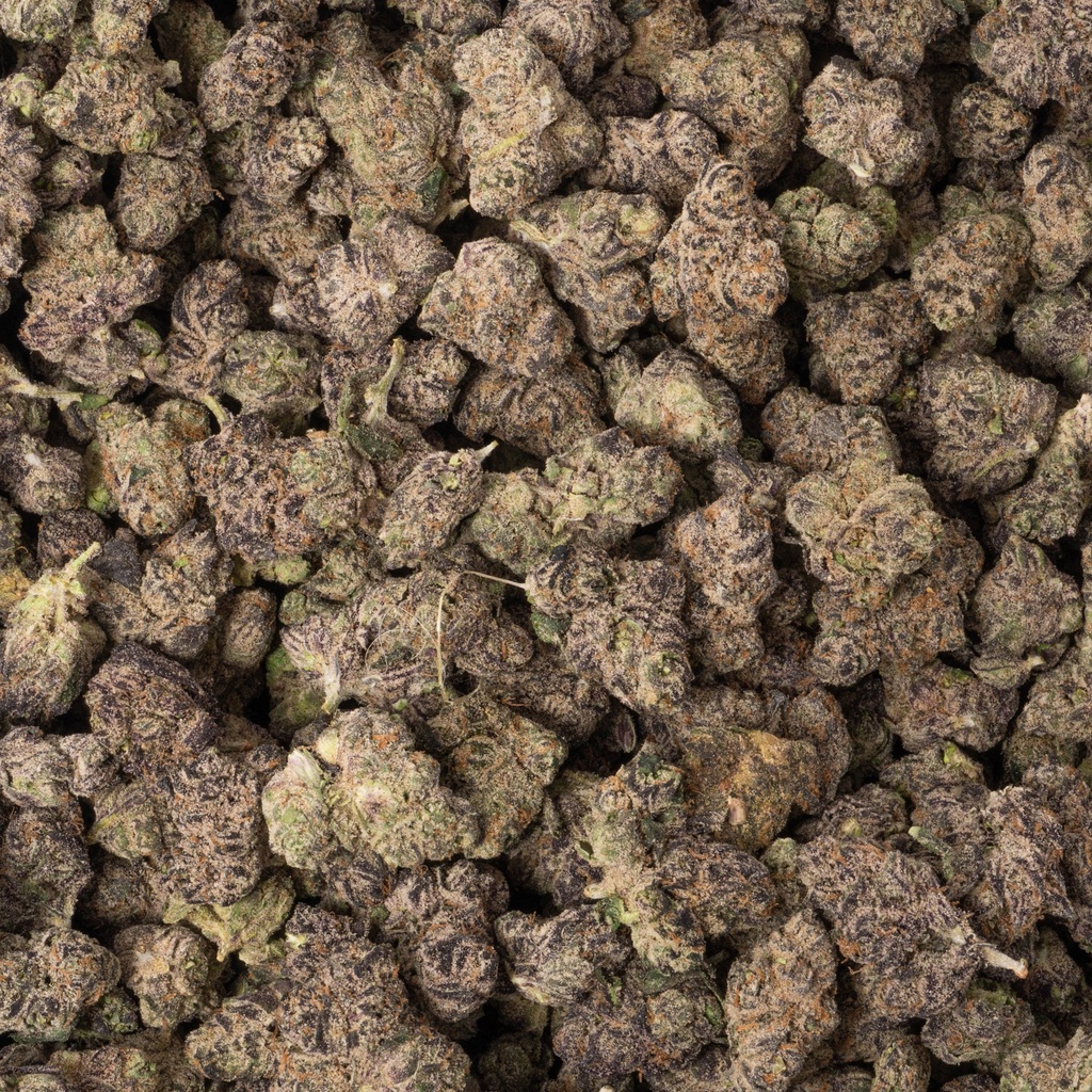 Blueberry Muffin Indoor Mediums