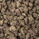 Blueberry Muffin Indoor Mediums