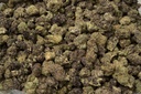 Blueberry Muffin Indoor Mediums