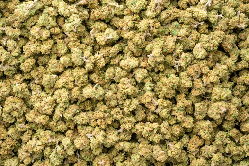 Jack Herer Smalls