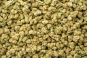 Jack Herer Smalls