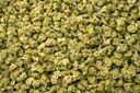 Kush Crasher Smalls