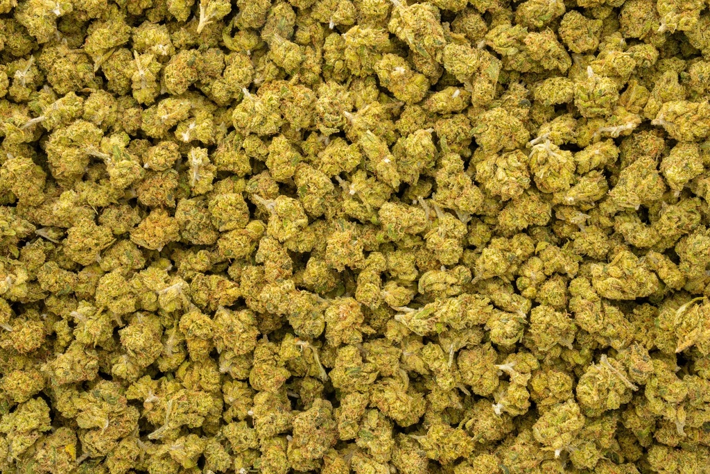 Hell's Angel OG Smalls
