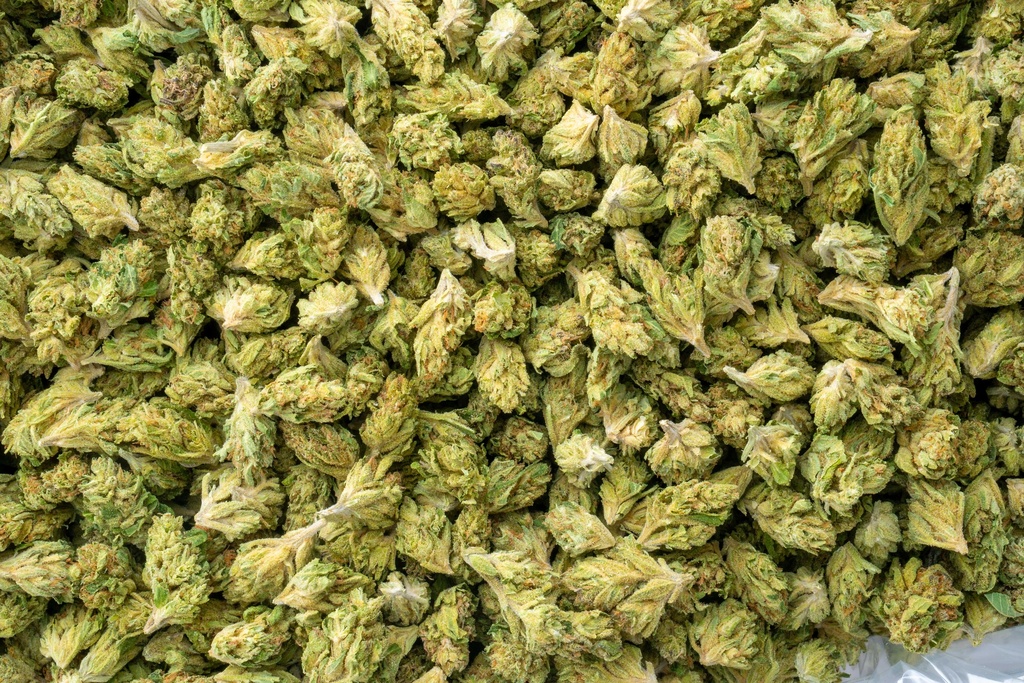 Royal Chemdawg Smalls