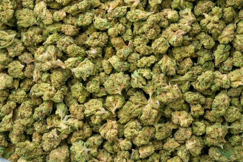 Vanilla Cookies Smalls
