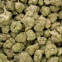 Secret Weapon Indoor