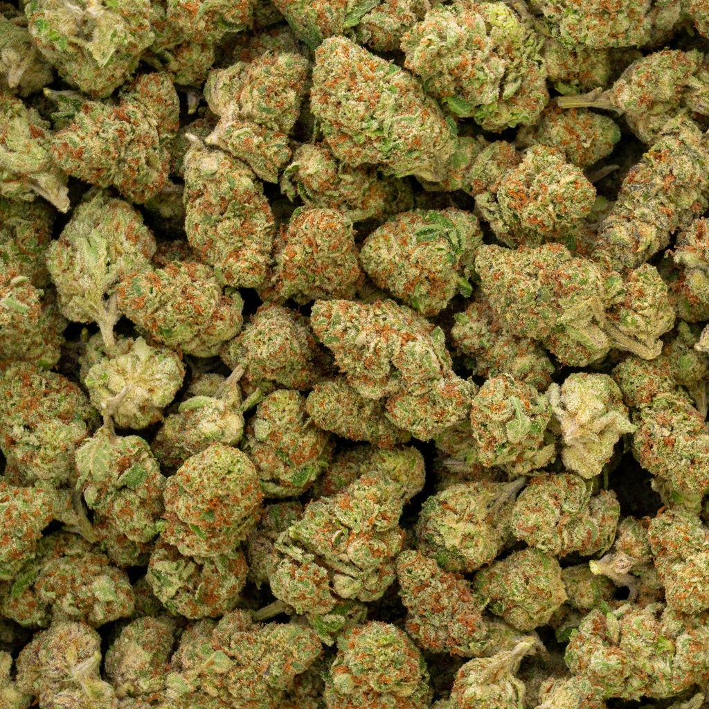 Clementine Indoor