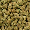Clementine Indoor