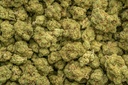 Triangle Kush