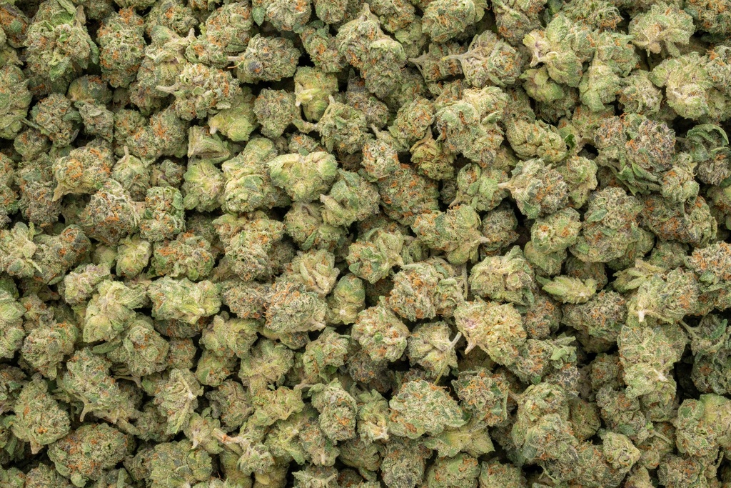 Stardawg Guava Indoor Smalls