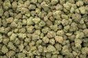 Stardawg Guava Indoor Smalls