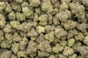 Jungle Cake Indoor