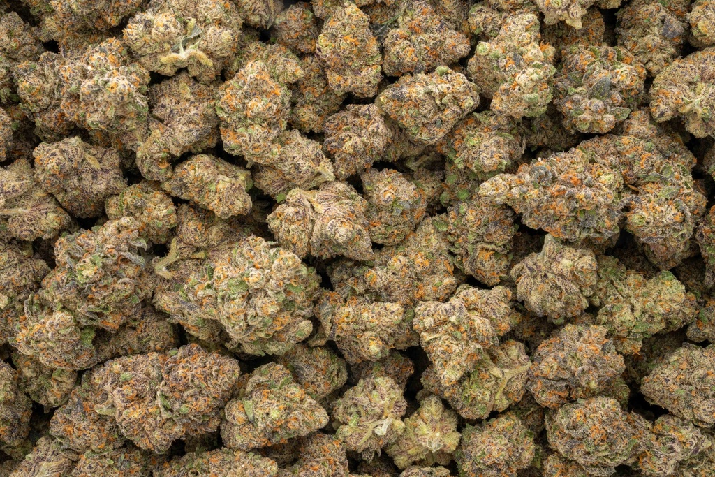 Pluto Indoor
