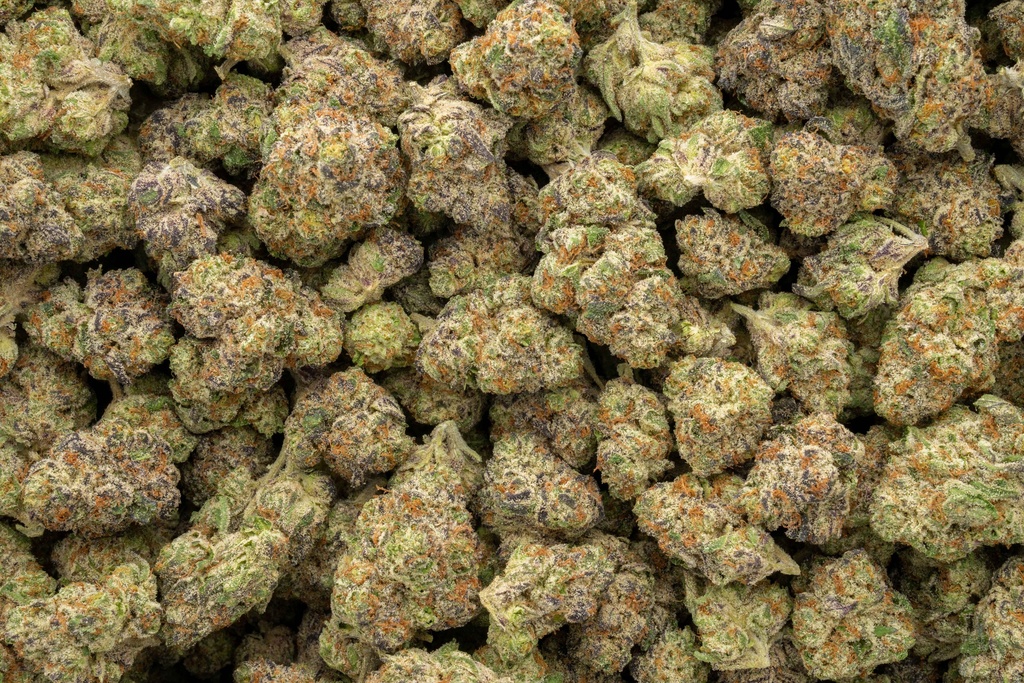 Blackberry Caviar Indoor