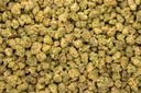 NY Zoo Smalls