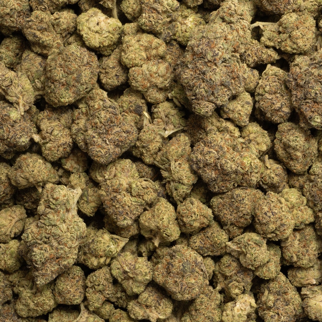Oreoz x White Runtz Indoor