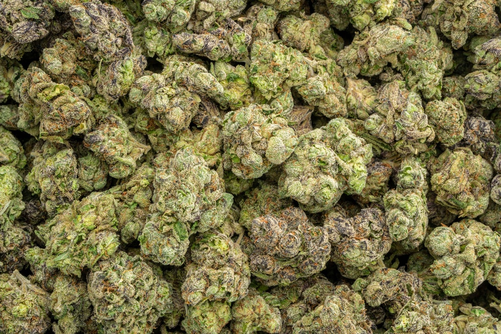 Super Bomb Indoor Mediums