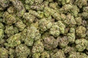 Super Bomb Indoor Mediums