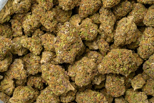 [BPFLTALGRG] Grape Gas