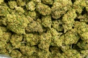 Skittlez